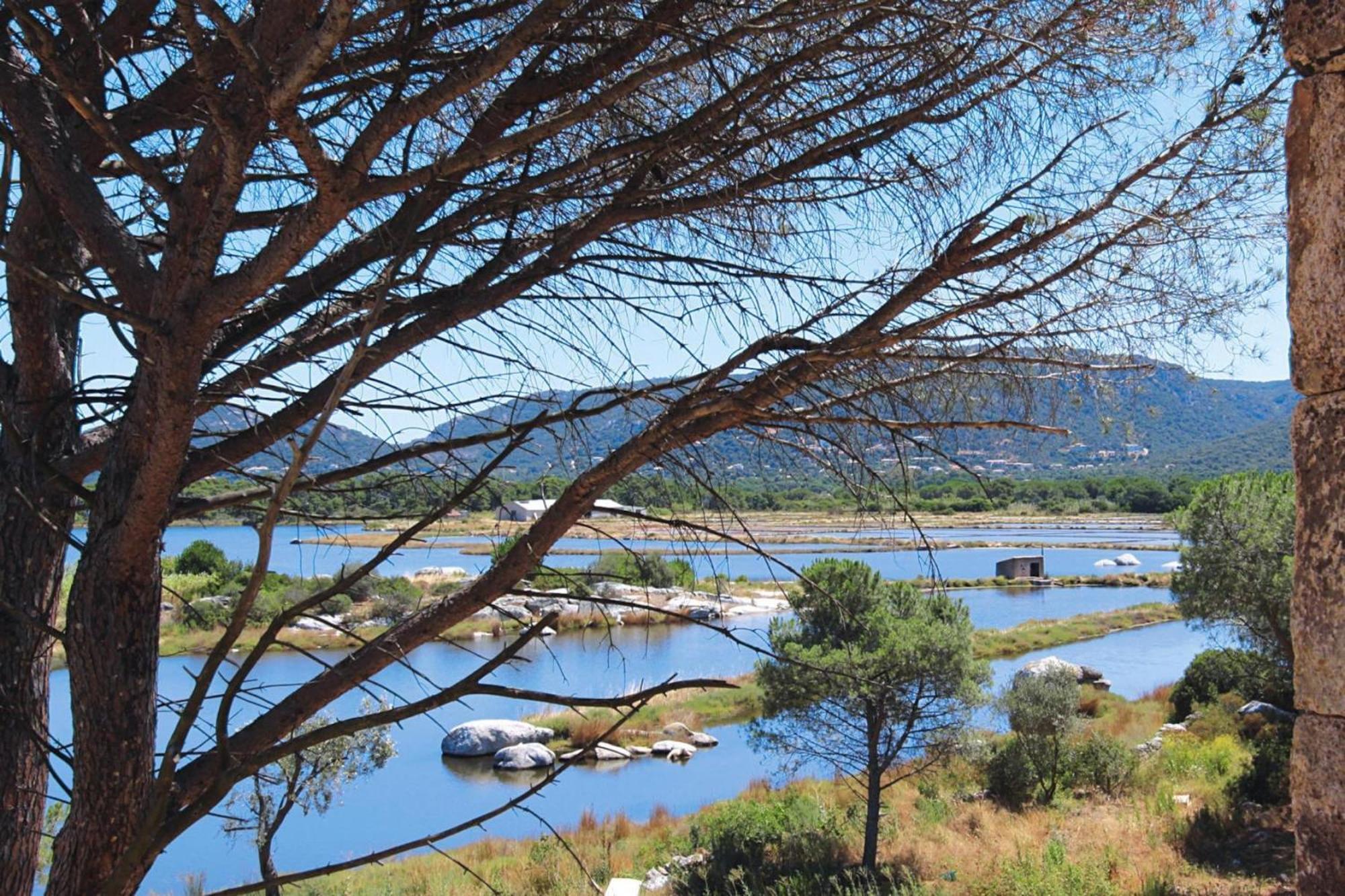 Salina Bay Vecchio Garden Side